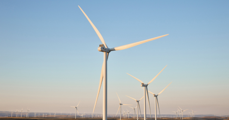 Rocket News – 5/11/25