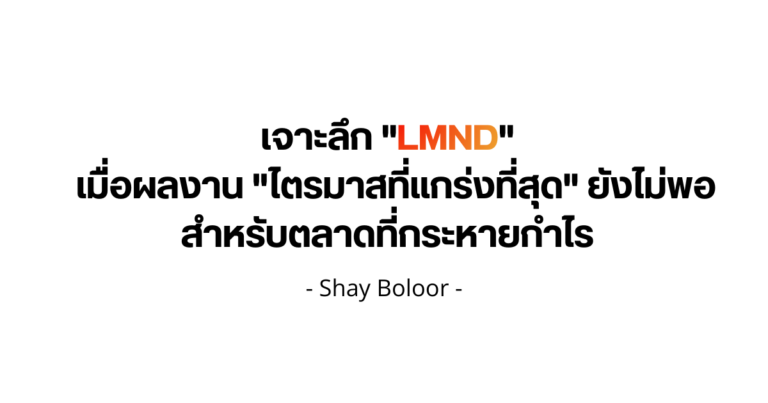 มุมมองต่อหุ้น $LMND หลังประกาศผลประกอบการ – Shay